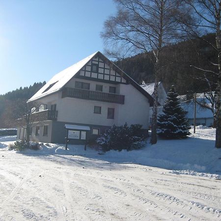 Pension-Gaestehaus Waldhof Winterberg Bagian luar foto