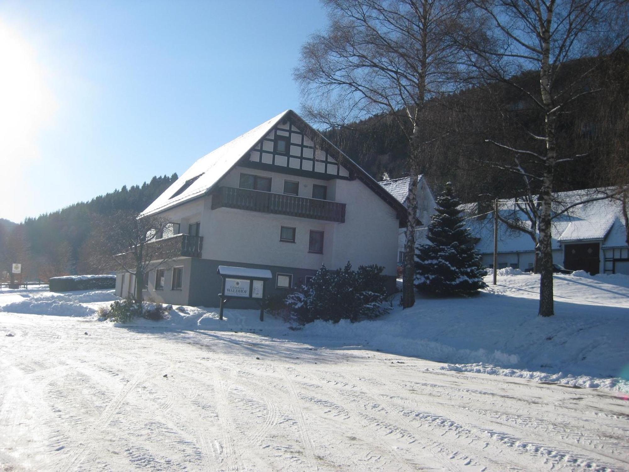 Pension-Gaestehaus Waldhof Winterberg Bagian luar foto