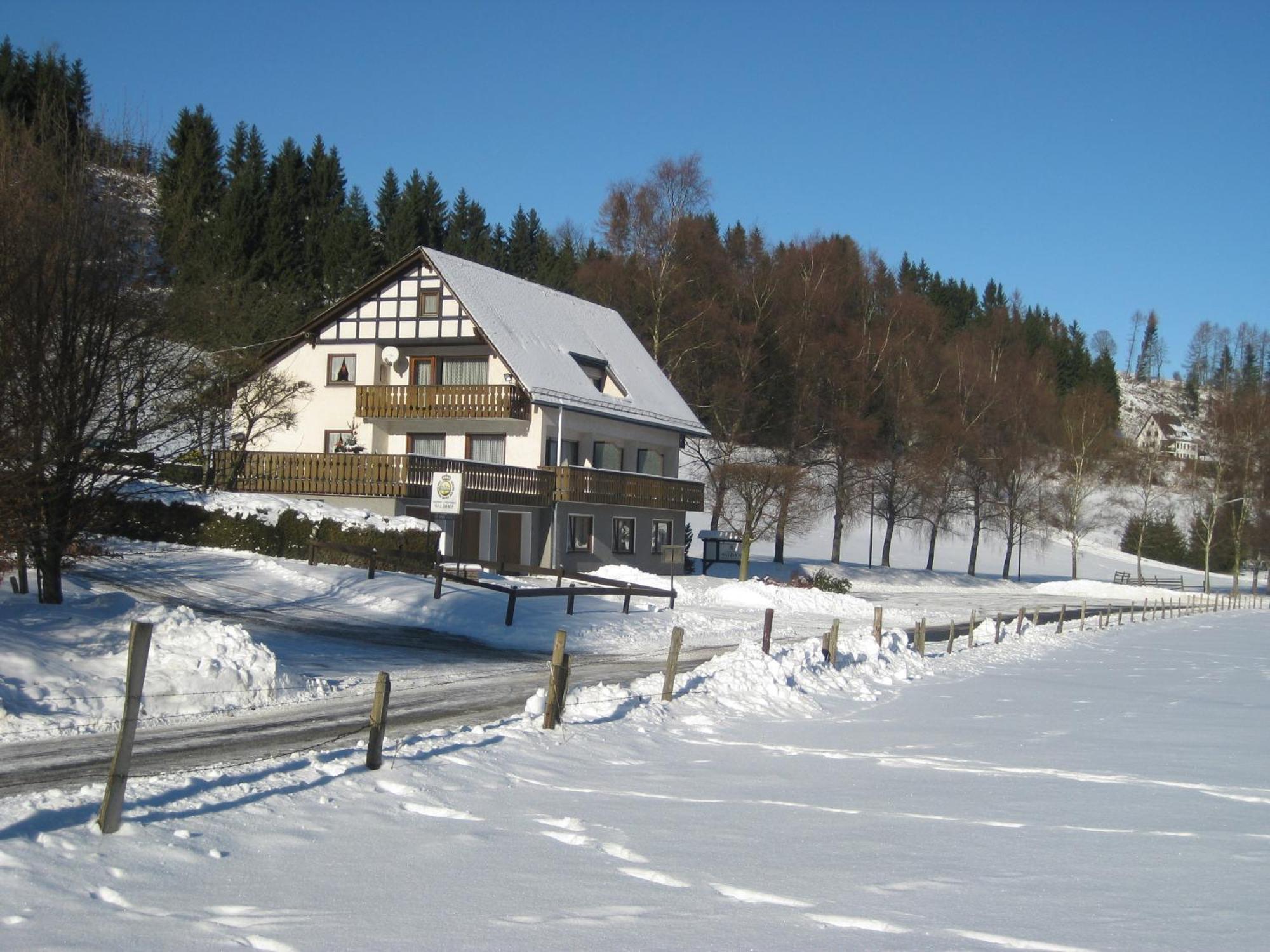 Pension-Gaestehaus Waldhof Winterberg Bagian luar foto