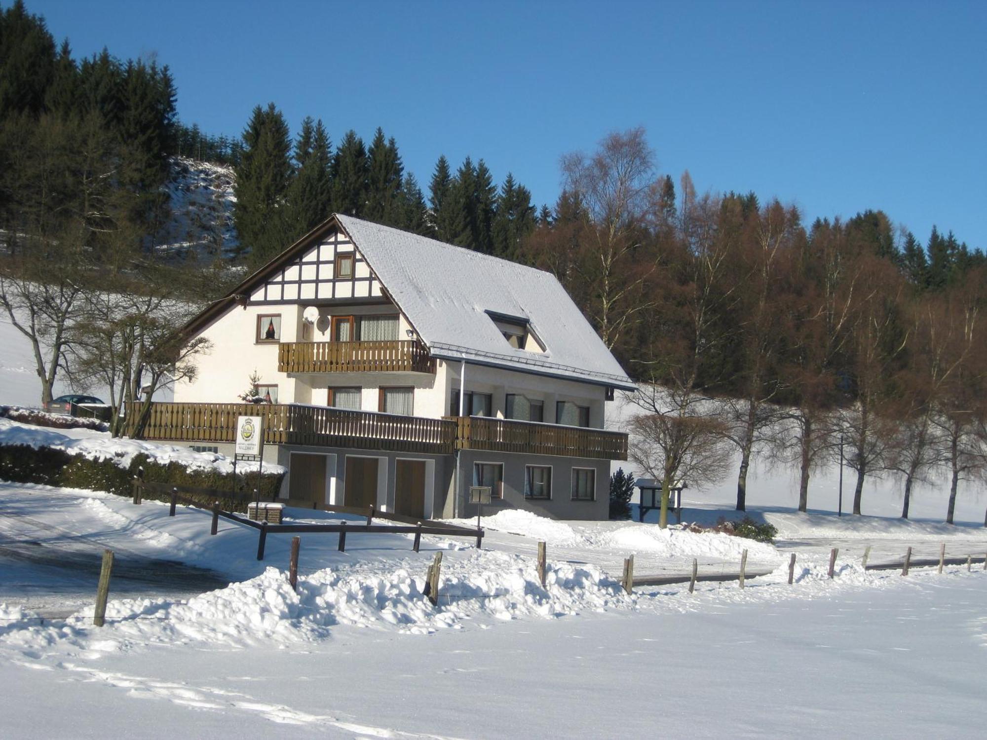 Pension-Gaestehaus Waldhof Winterberg Bagian luar foto