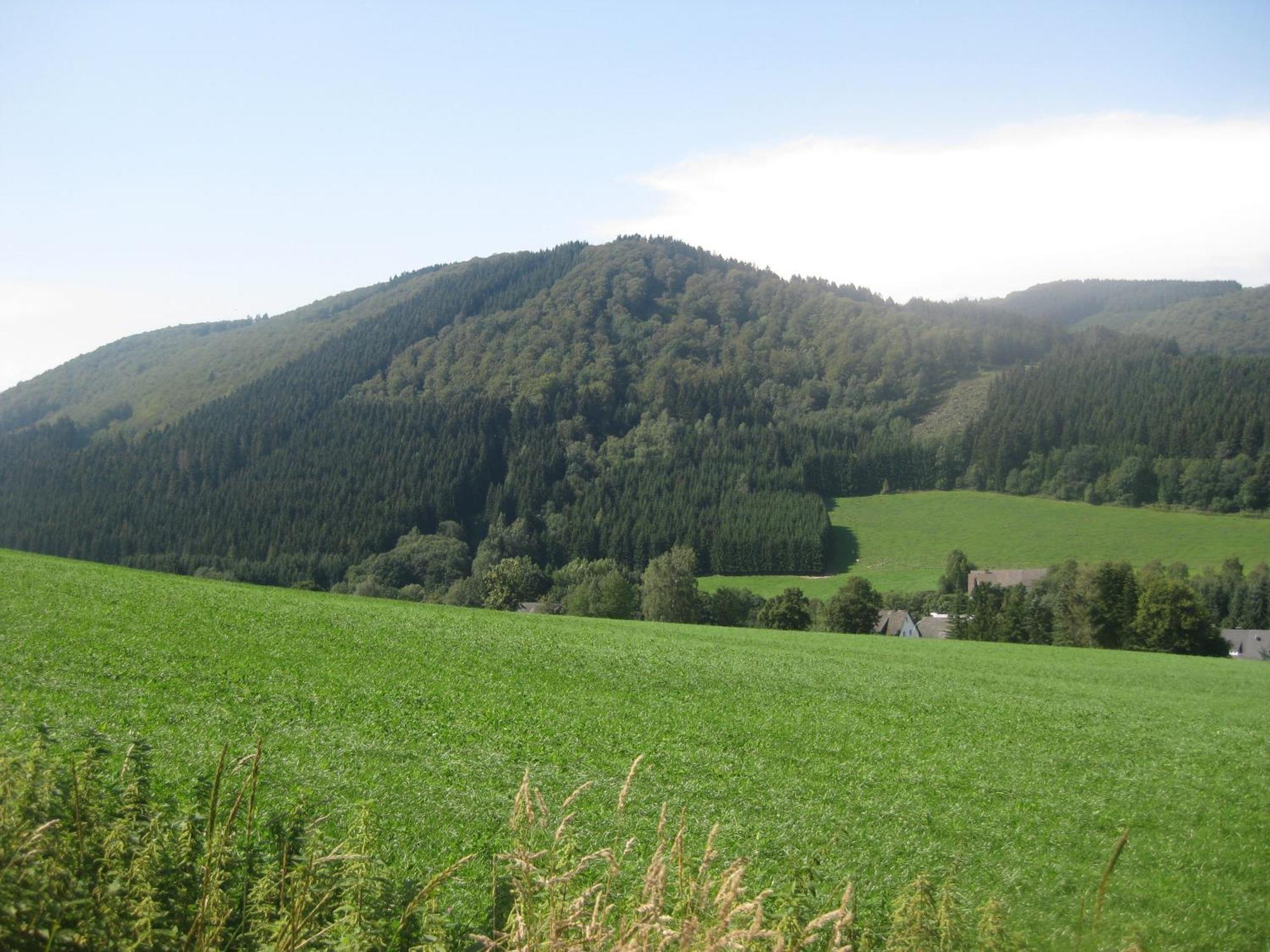 Pension-Gaestehaus Waldhof Winterberg Bagian luar foto
